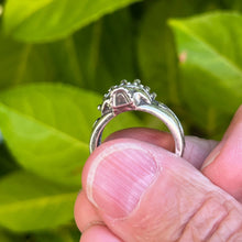 Load image into Gallery viewer, Crowned Skull Ring Hallmarked 925 Silver Sizeable